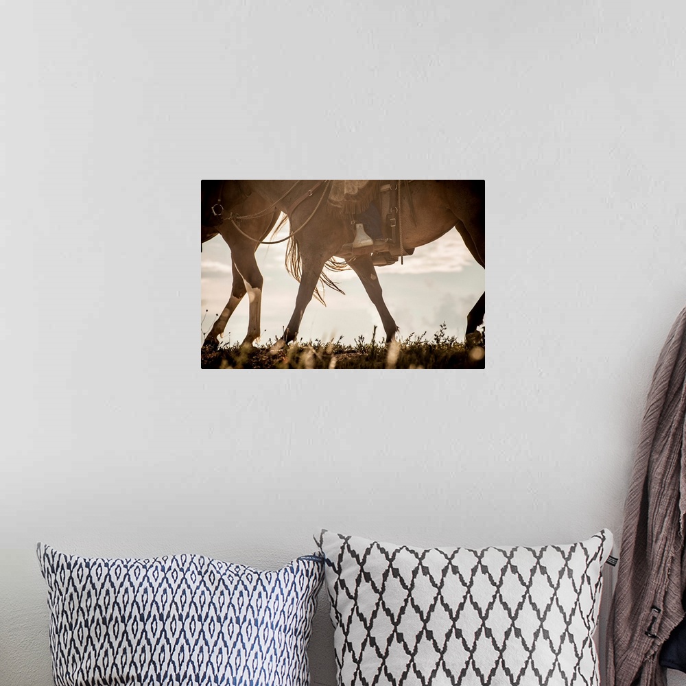 A bohemian room featuring Photograph of a horse from the stomach down.