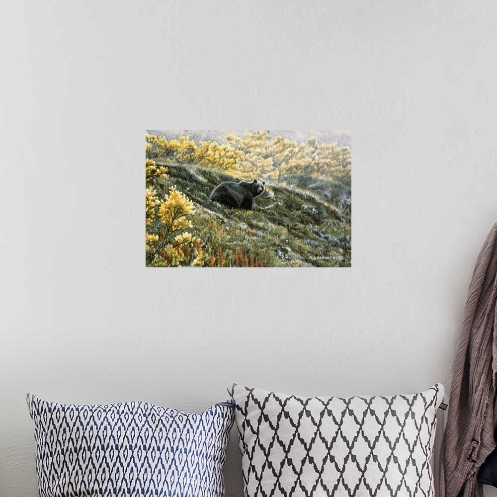 A bohemian room featuring A grizzly bear rests on a fall hillside.