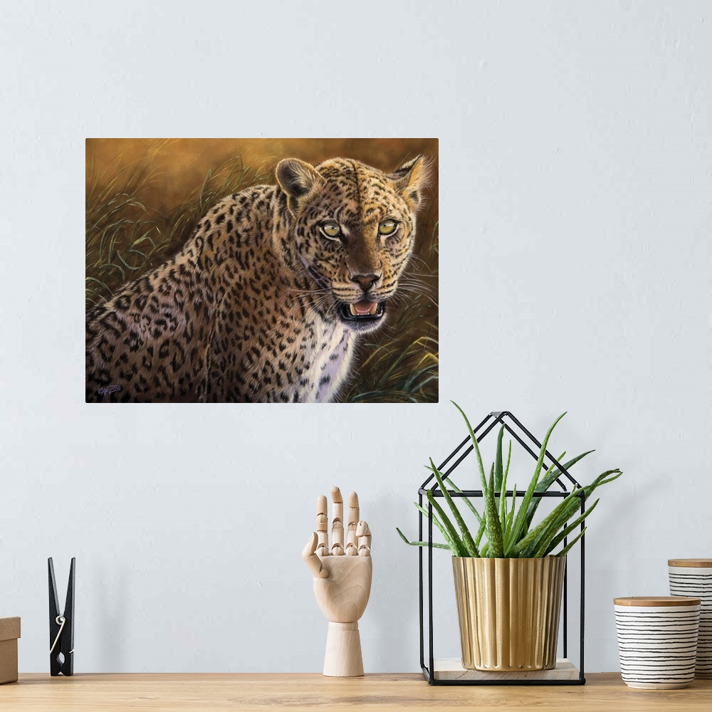 A bohemian room featuring leopard on the prowl