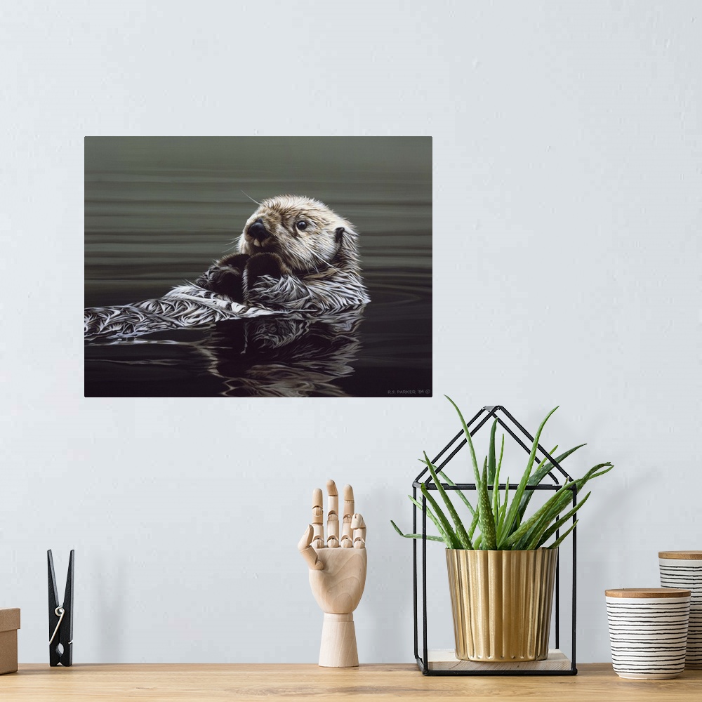A bohemian room featuring An otter rests on its back, drifting through the water.