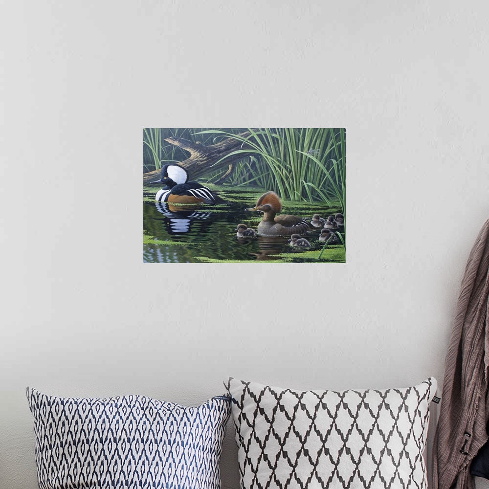 A bohemian room featuring Ducks floating by tall water grass and lily pads.