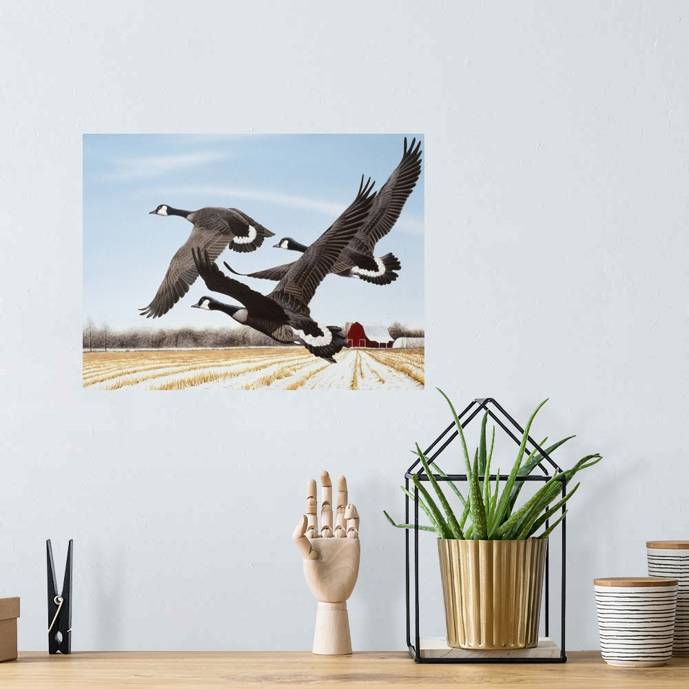 A bohemian room featuring Three Canada geese flying over a farmer's field.