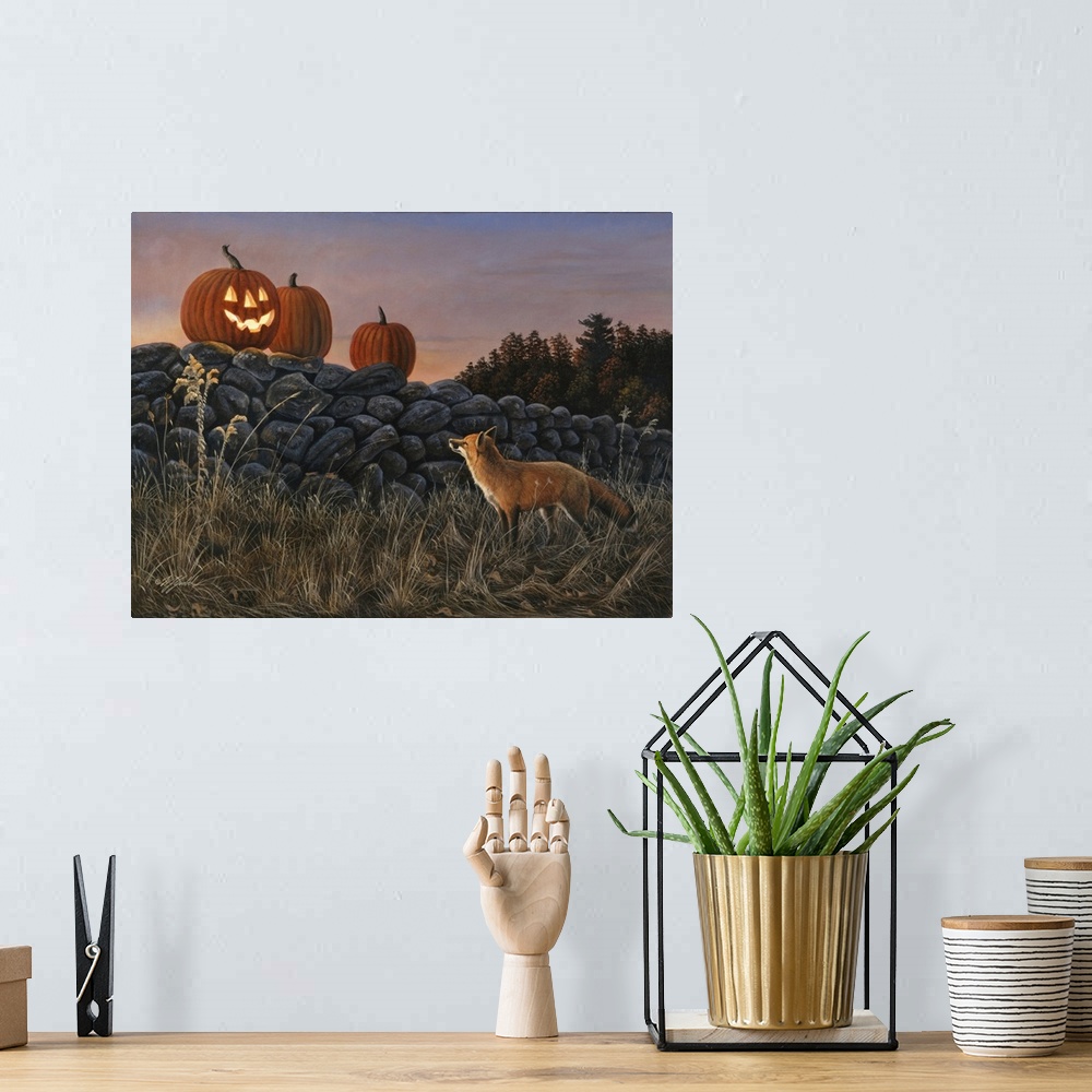 A bohemian room featuring Three pumpkins on a stone wall - one is carved with a face and a candle inside - a red fox is in ...