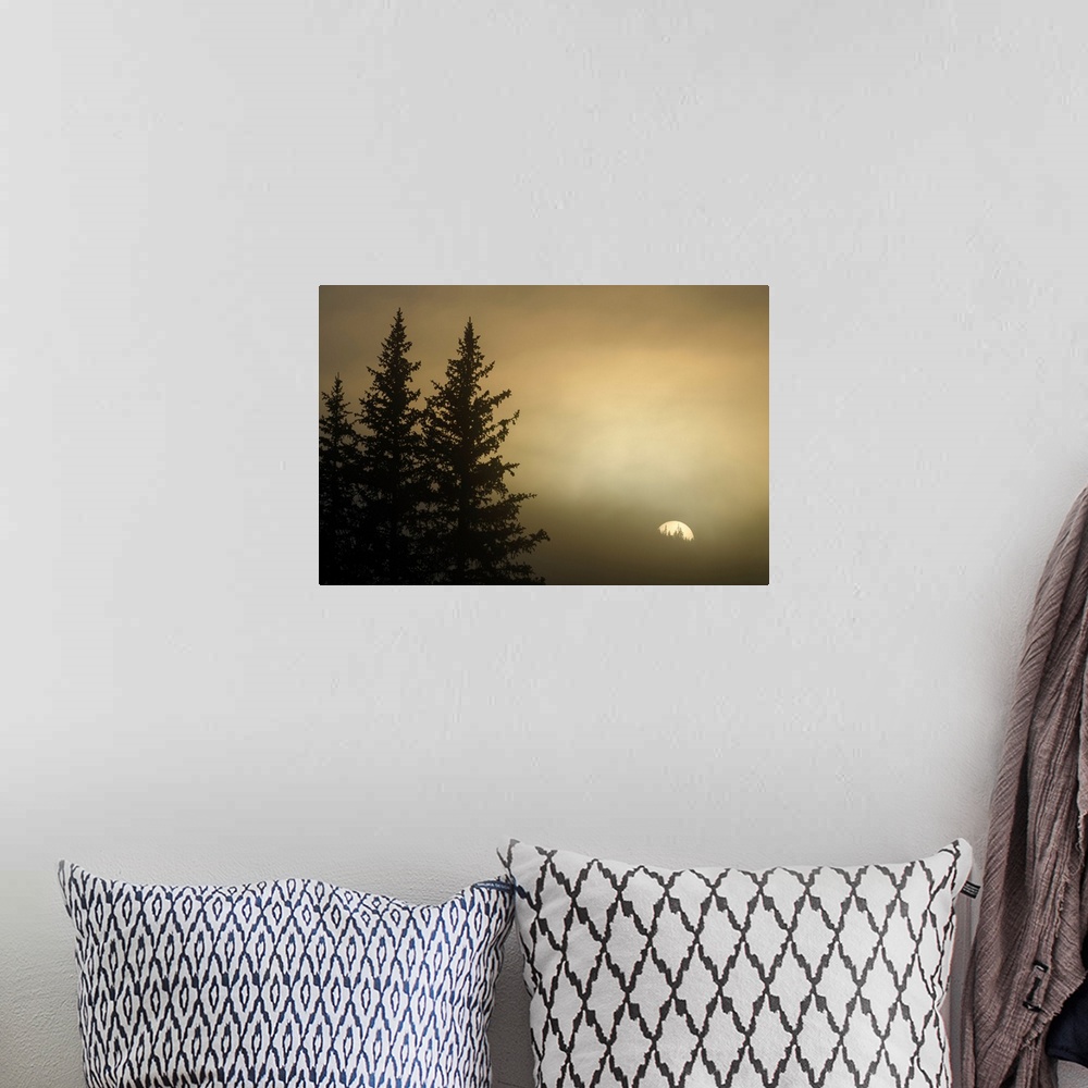 A bohemian room featuring Photograph of the sun rising on a foggy morning with pine trees on the side.