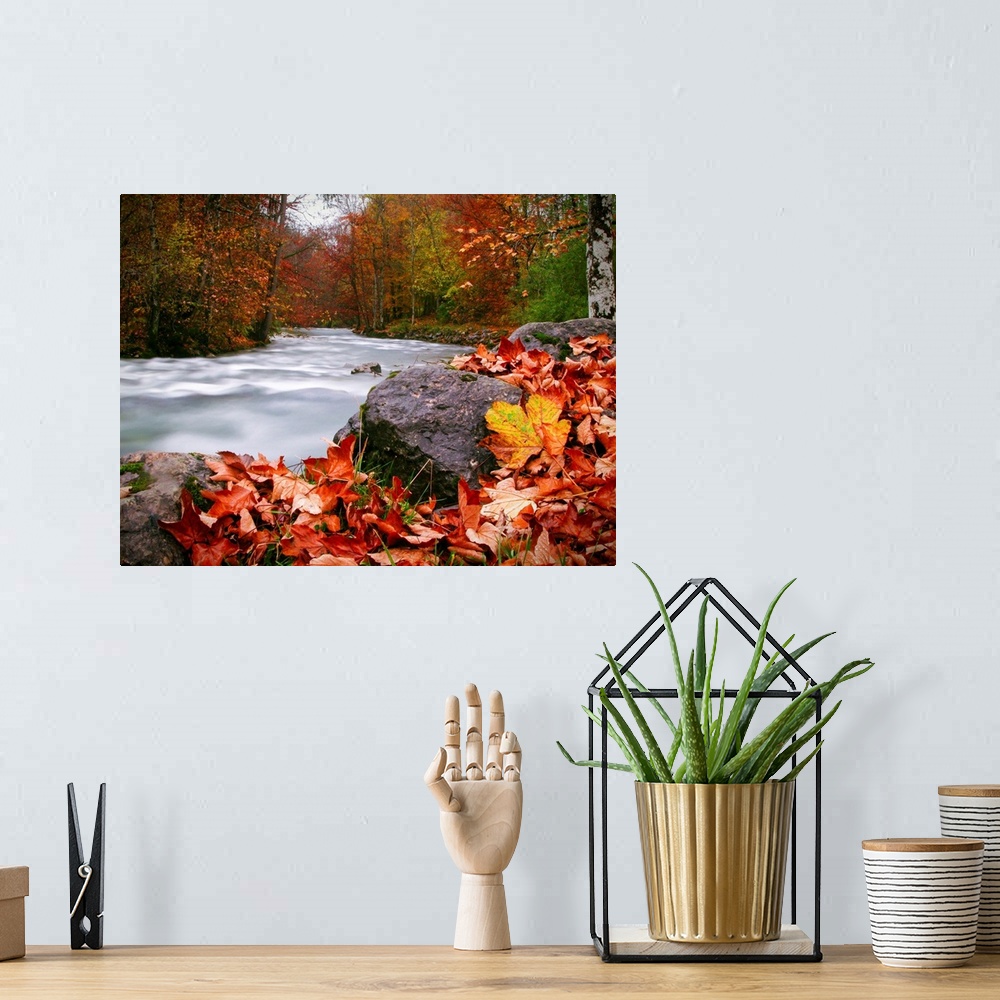 A bohemian room featuring Long exposure photograph of a rushing river in the forest with red and yellow Autumn leaves on th...