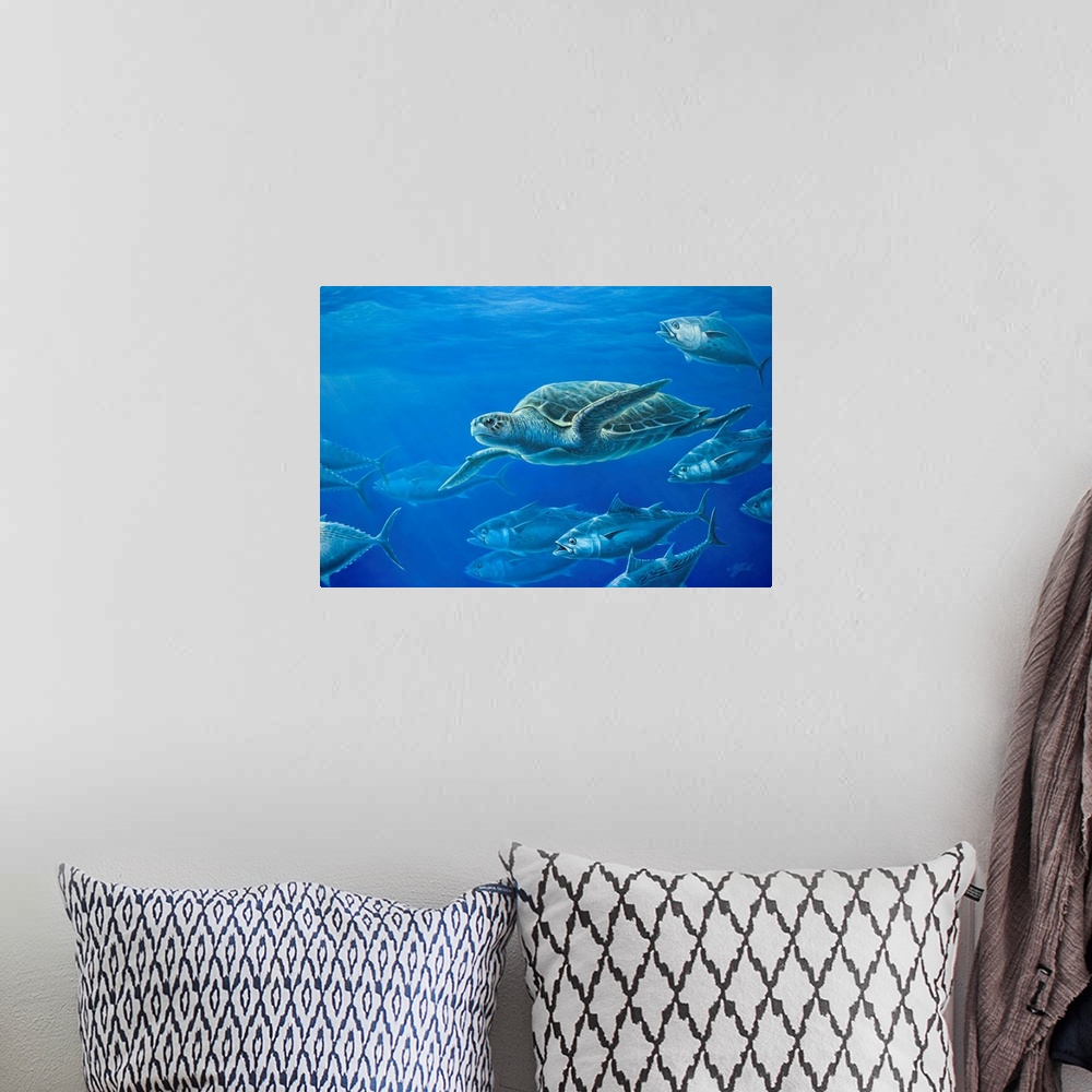 A bohemian room featuring Sea turtle swimming among the other sea life in the ocean.