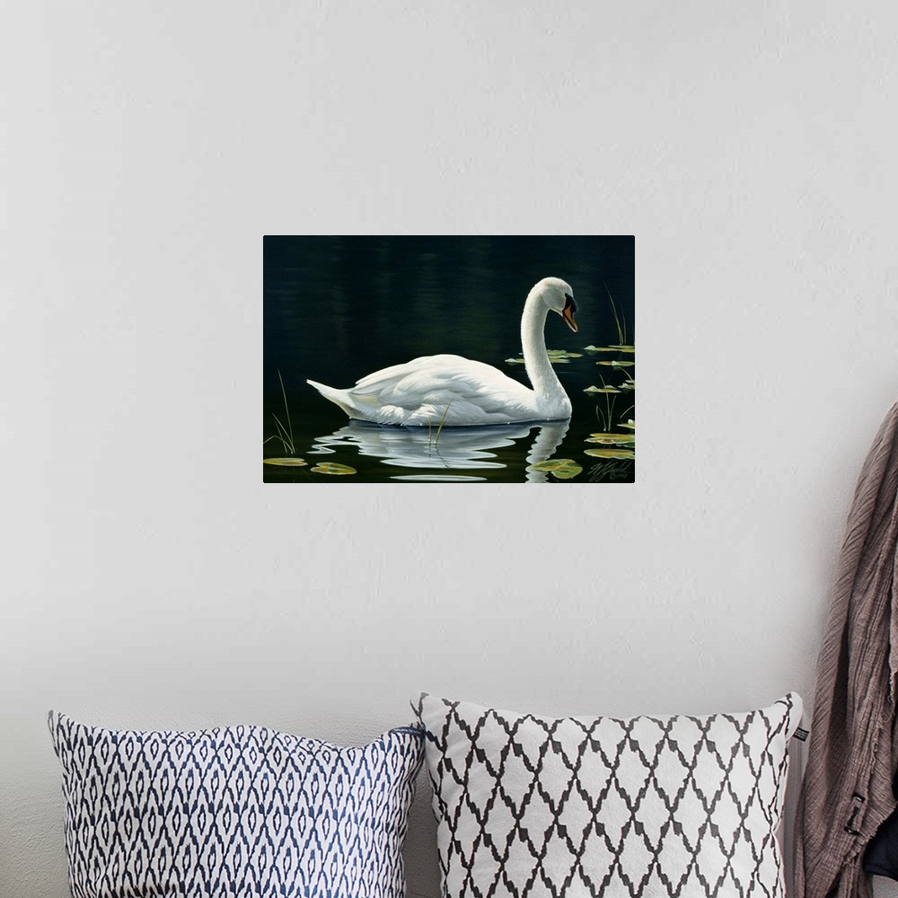 A bohemian room featuring Swan swimming on still water.