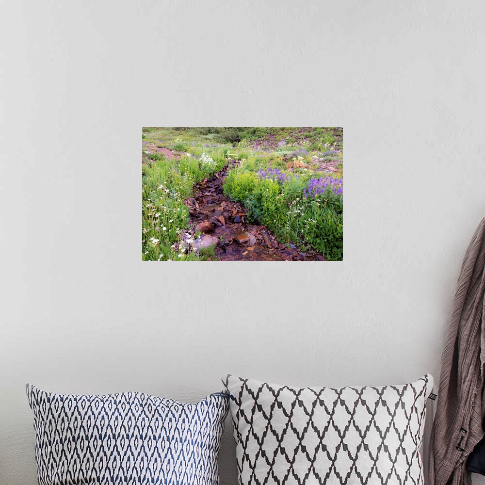 A bohemian room featuring Photograph of a small rocky creek surrounded with wildflowers.