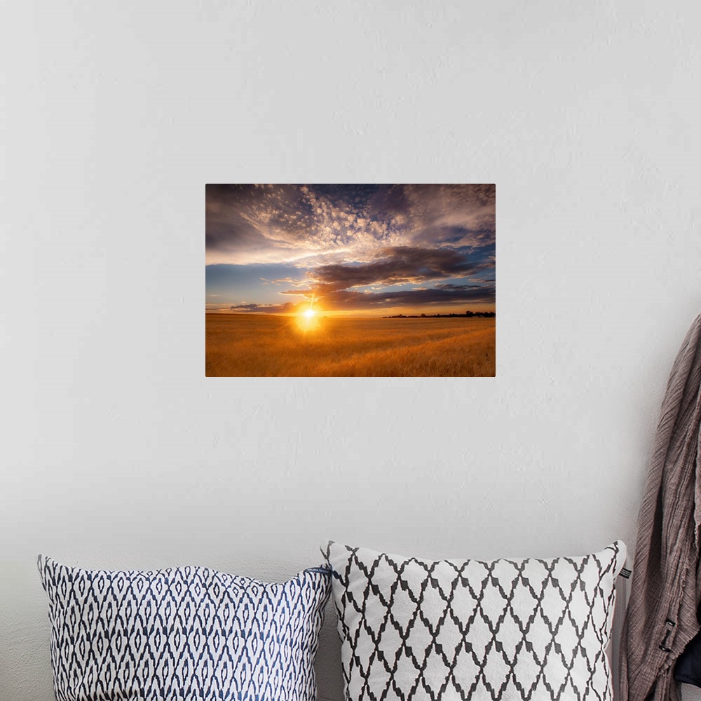 A bohemian room featuring Landscape photograph of a field with the sun rising right on the horizon line and patterned cloud...