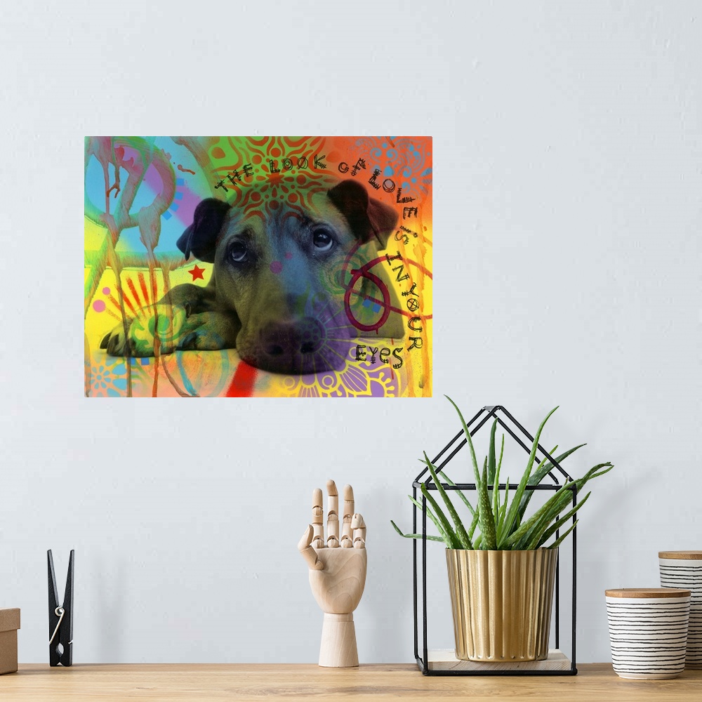 A bohemian room featuring "The Look of Love is in Your Eyes" handwritten around a portrait of a dog with sad eyes on a colo...
