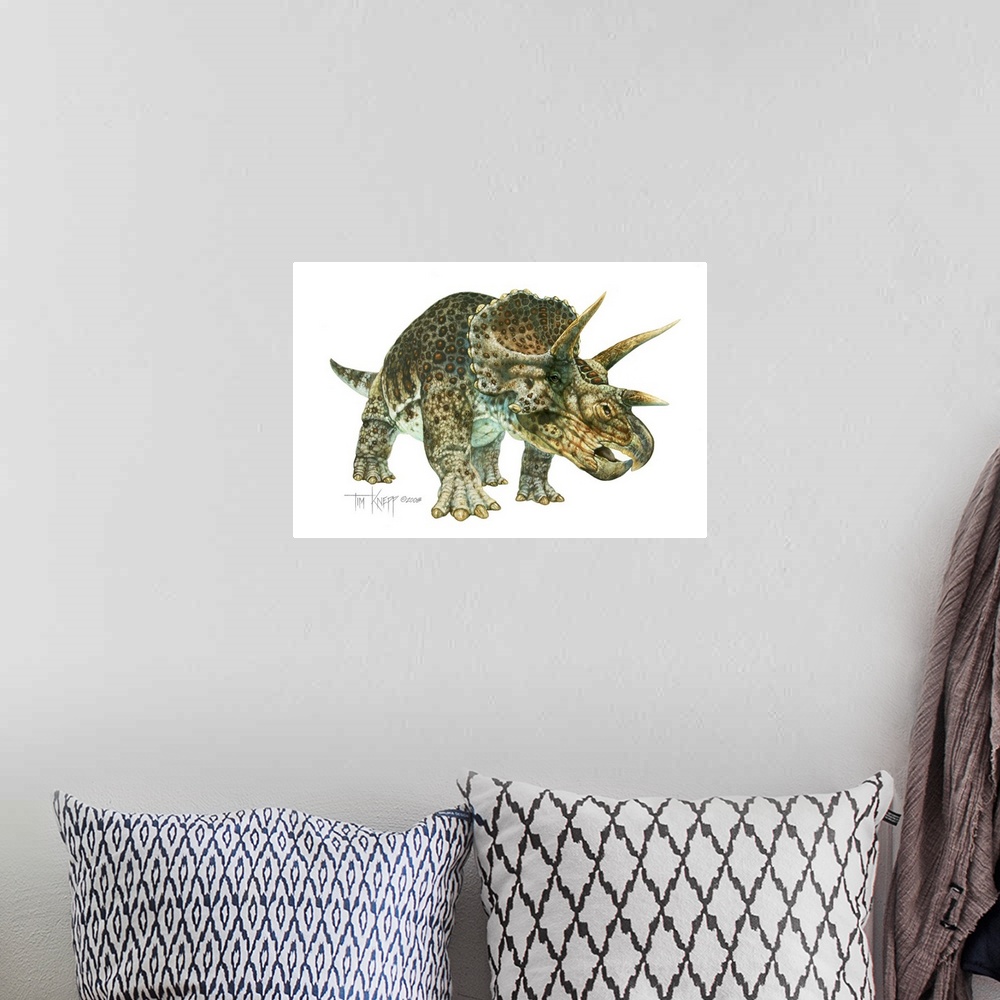 A bohemian room featuring Triceratops, dinosaur