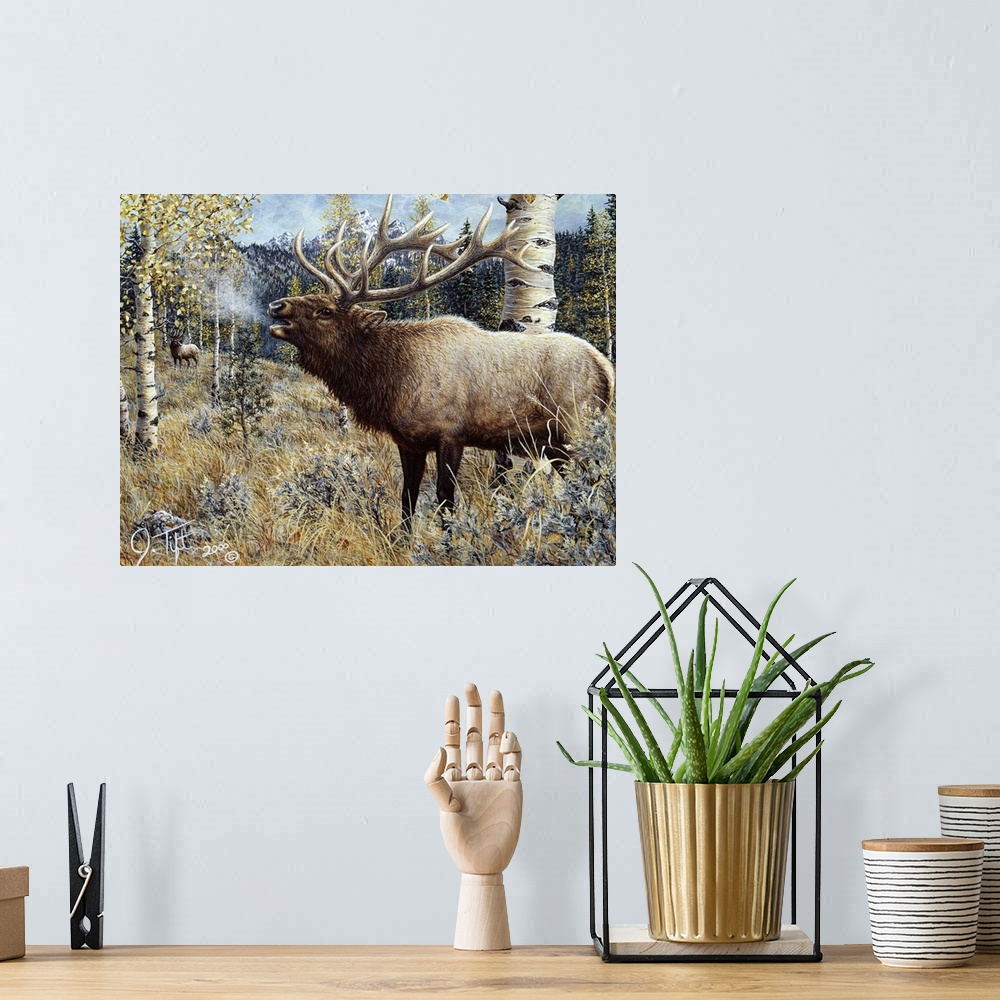 A bohemian room featuring elk standing in field by birch trees