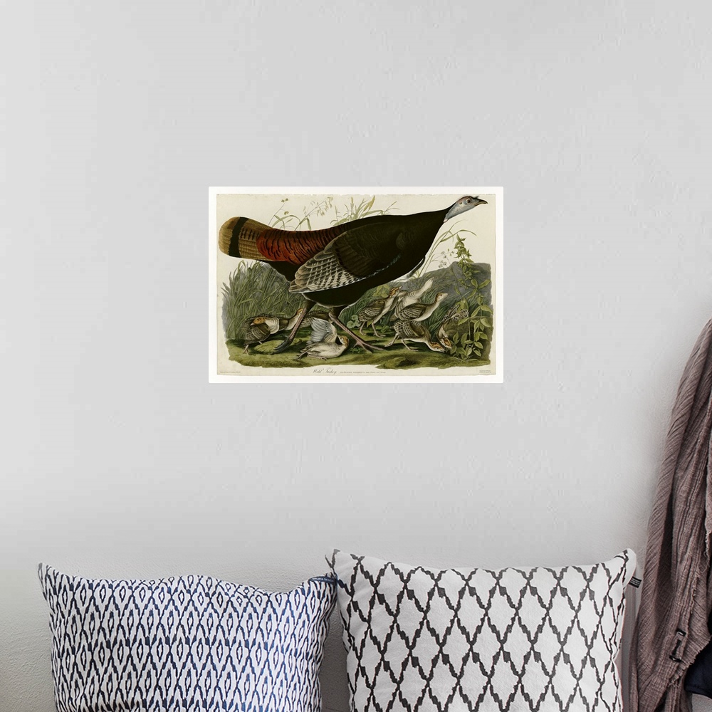 A bohemian room featuring Audubon Birds, Wild Turkey