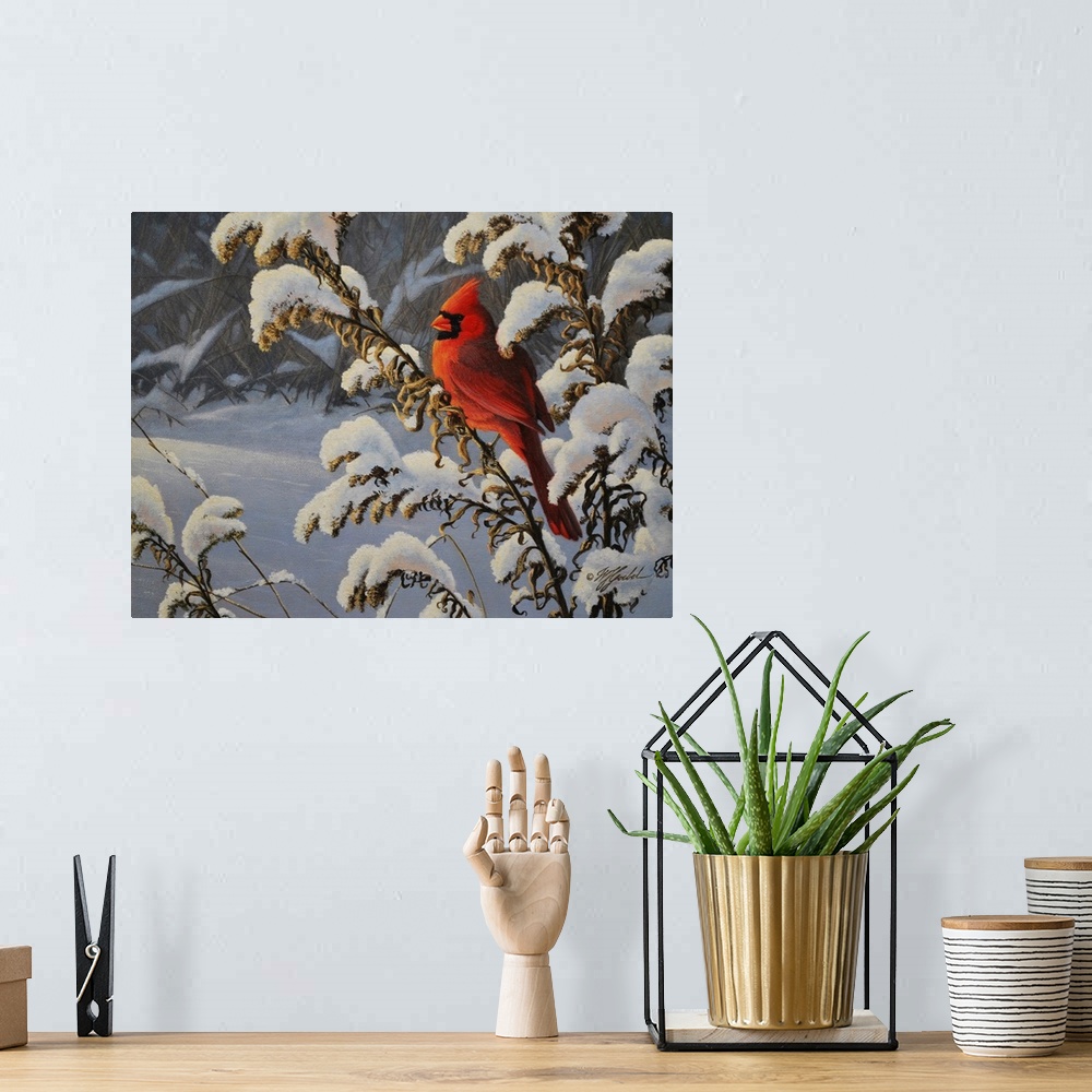 A bohemian room featuring Winter Cardinal
