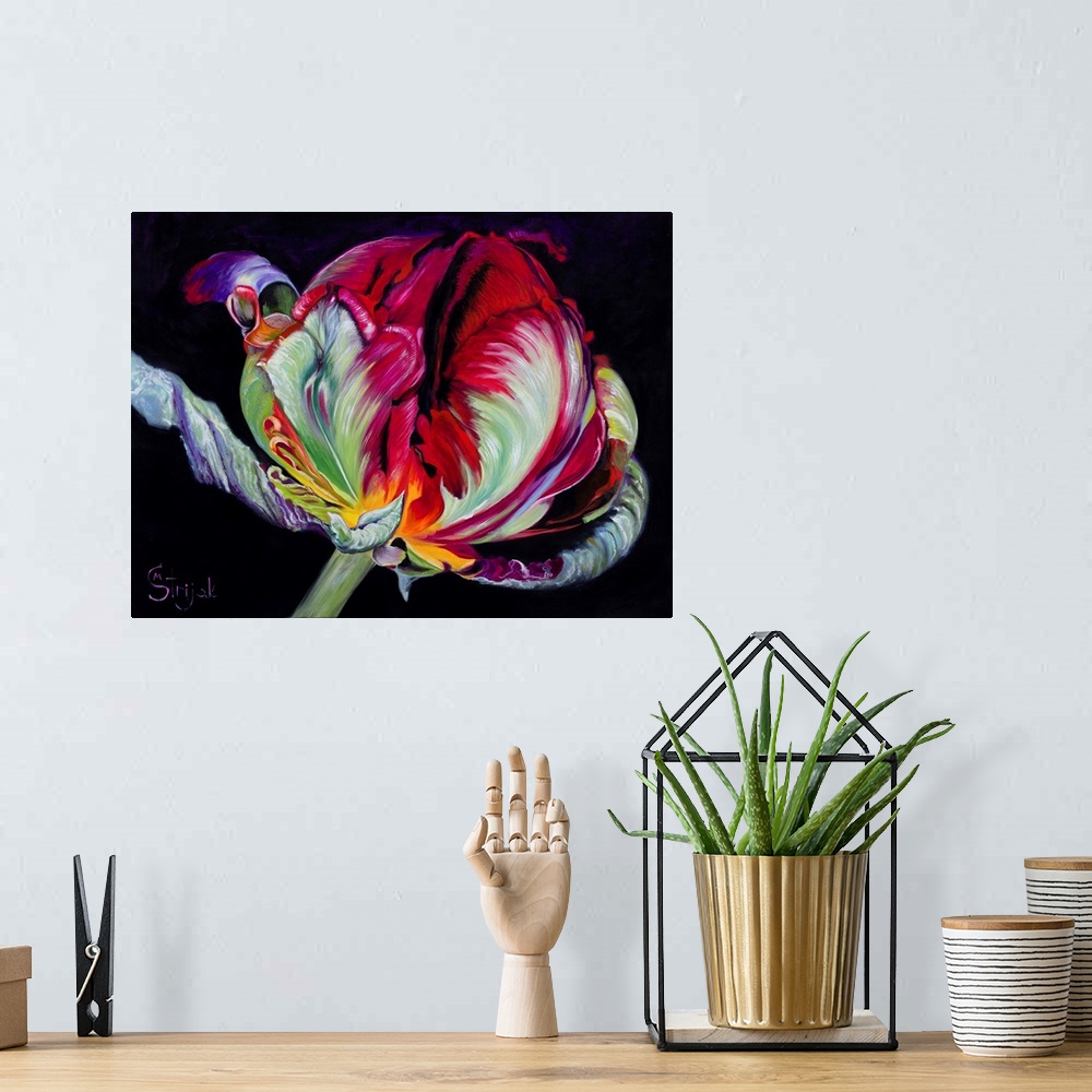 A bohemian room featuring Red parrot tulips are intricate, delicate, and beautiful flowers. In this painting, the black bac...