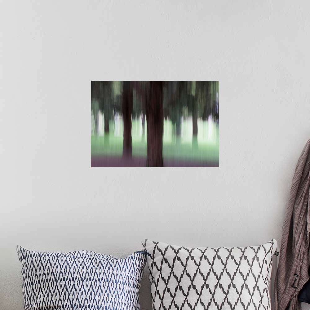 A bohemian room featuring Impressionist photograph taken in a botanic garden's forest section.