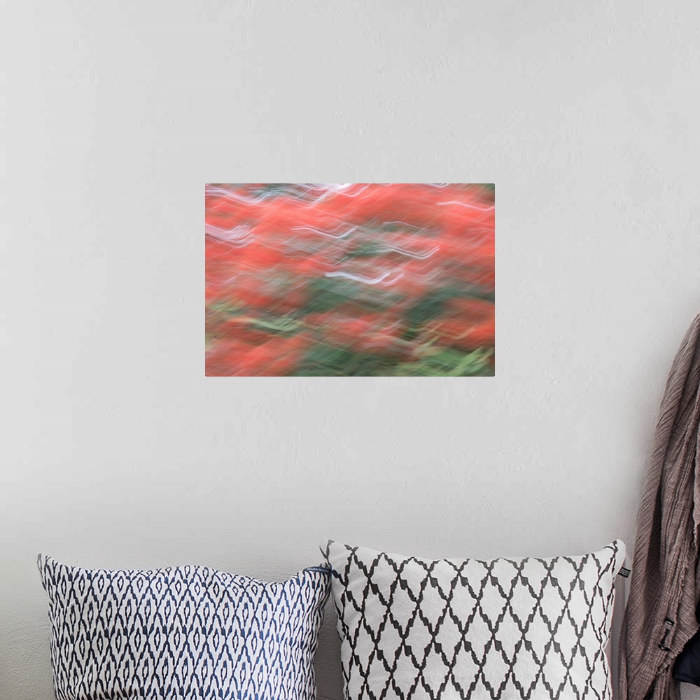 A bohemian room featuring Impressionist photograph that capture the color of Christmas.