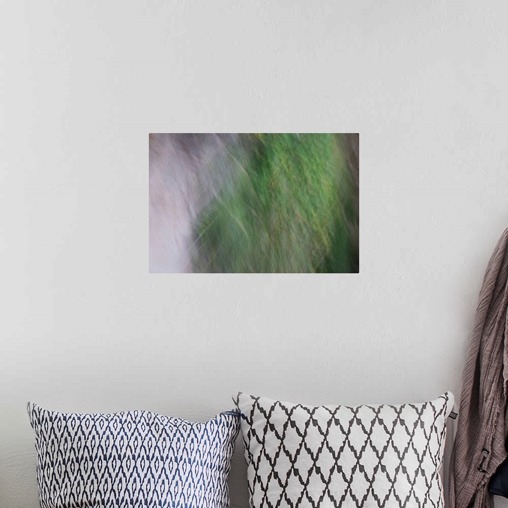 A bohemian room featuring Abstract photograph of a calm ambience of green.