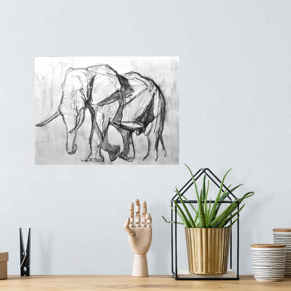 A bohemian room featuring African Bull Elephant, 2019