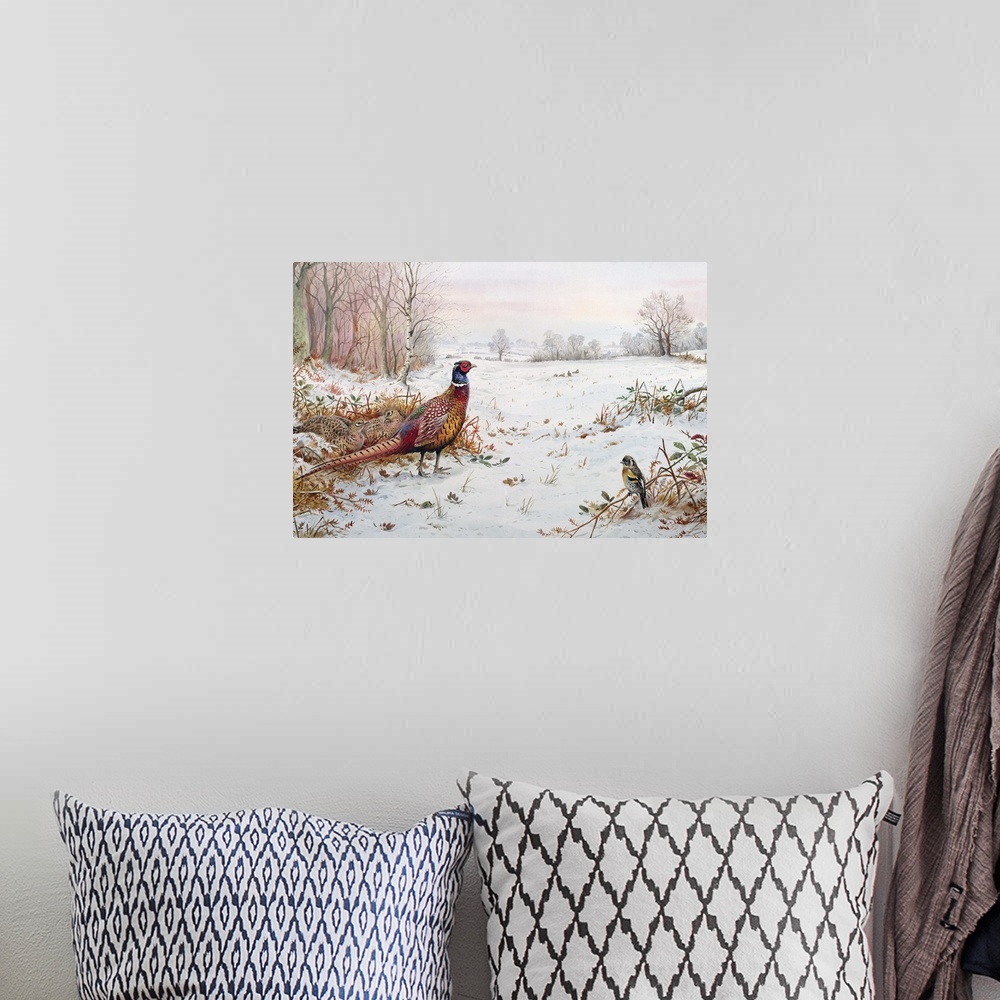 A bohemian room featuring Pheasant and bramblefinch in the snow