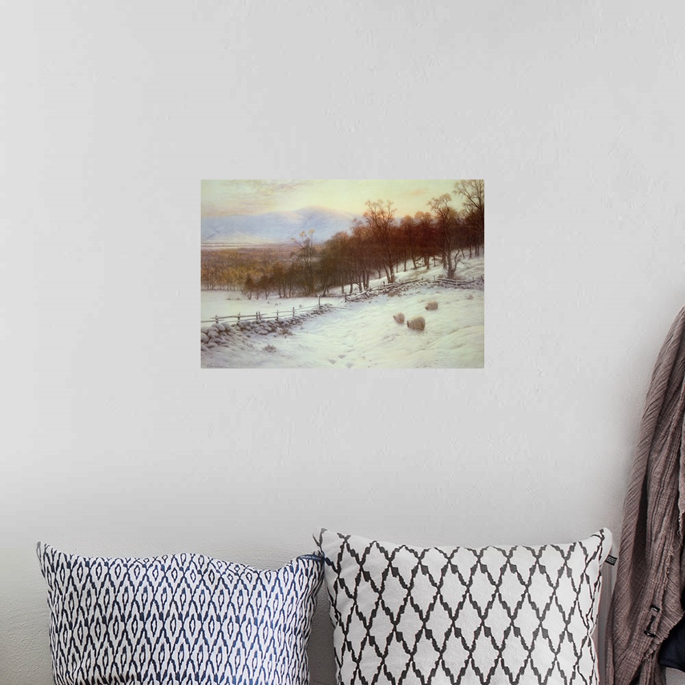 A bohemian room featuring Snow Covered Fields with Sheep