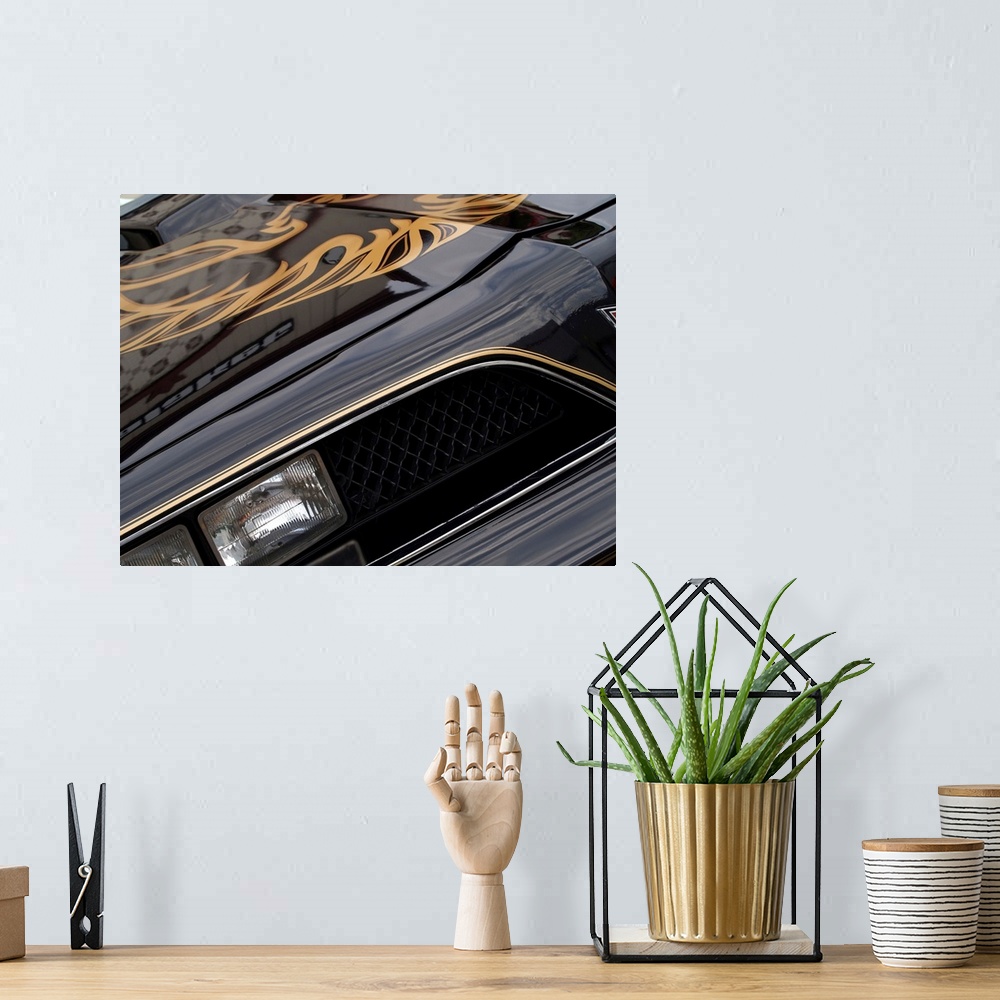 A bohemian room featuring Angled photograph of the front of a black and gold 1978 Pontiac Trans Am.