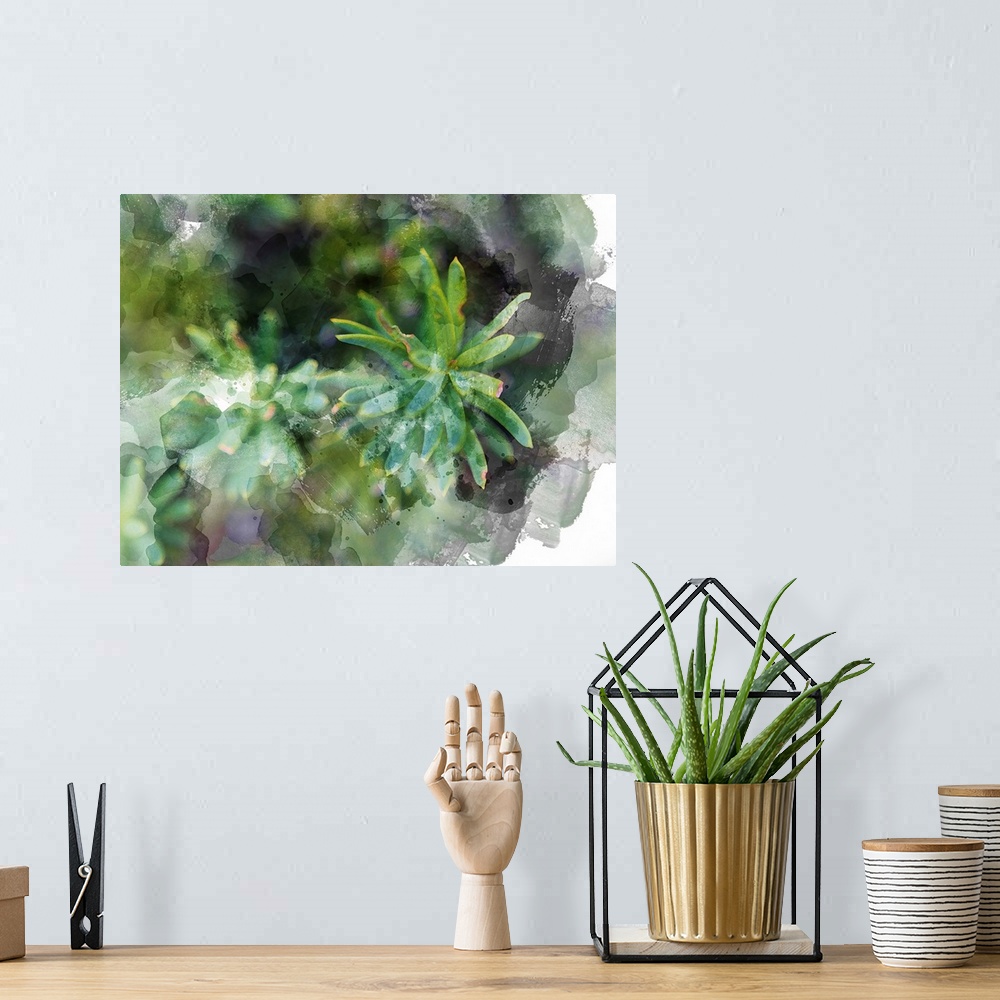 A bohemian room featuring Succulent Leaves