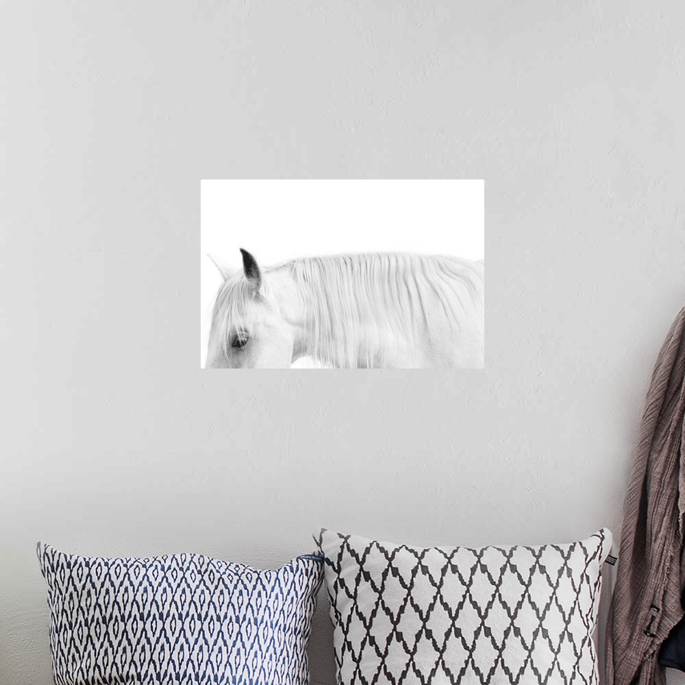 A bohemian room featuring Close-up photograph of a white horse against a white background.