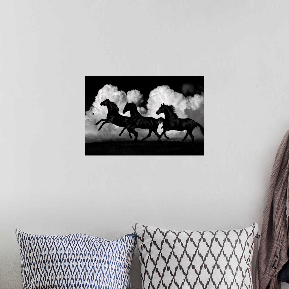 A bohemian room featuring Photo of black horses galloping on a windy day against white puffy clouds.