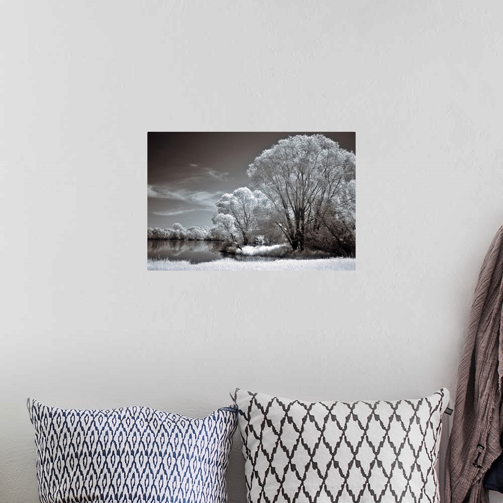 A bohemian room featuring An infrared photograph of a tranquil landscape of a lake surrounded by large trees.
