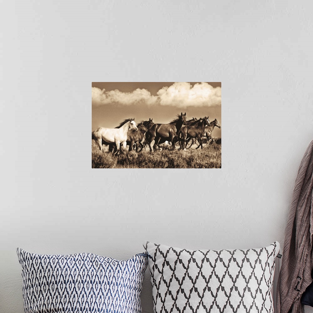 A bohemian room featuring Black, white and sepia horses.