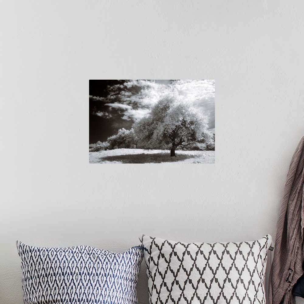A bohemian room featuring An infrared photograph of a beautiful landscape with large clouds.