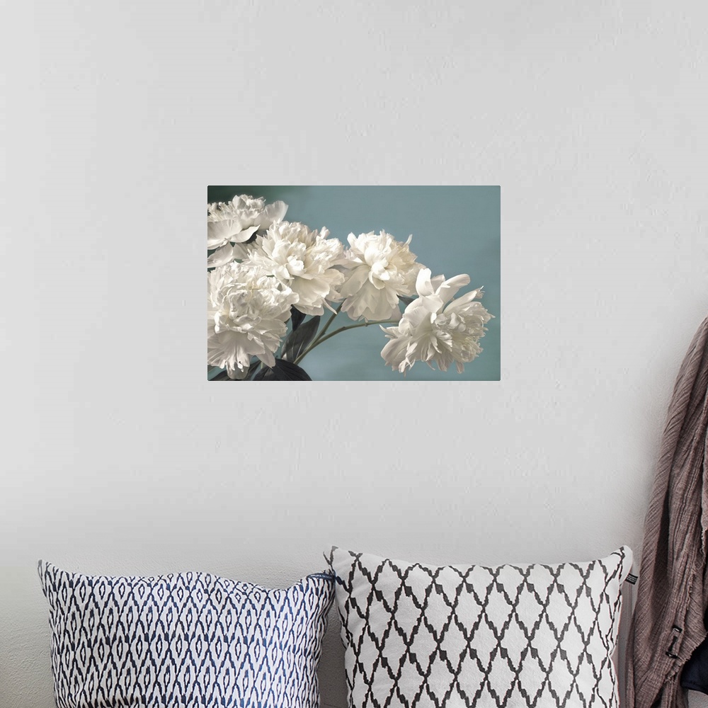 A bohemian room featuring Photograph of large white blooms against a light blue background.