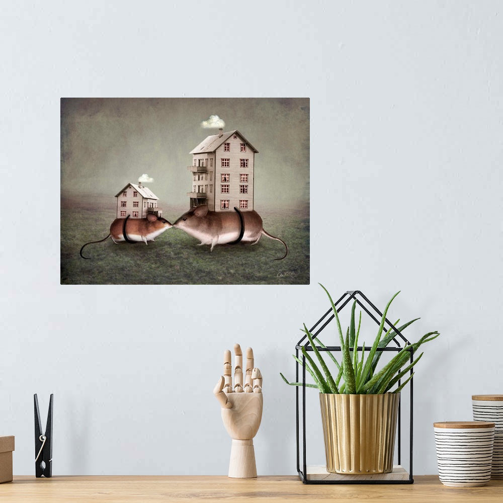 A bohemian room featuring Conceptual art of two mice with houses strapped onto their backs.
