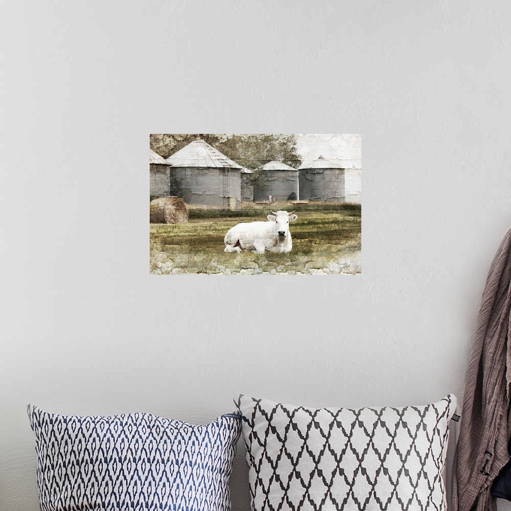 A bohemian room featuring White Cow