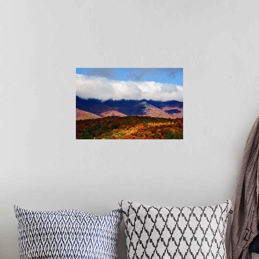 A bohemian room featuring Autumn view of Southern Appalachian Mountains from Blue Ridge Parkway, near Grandfather Mountain,...