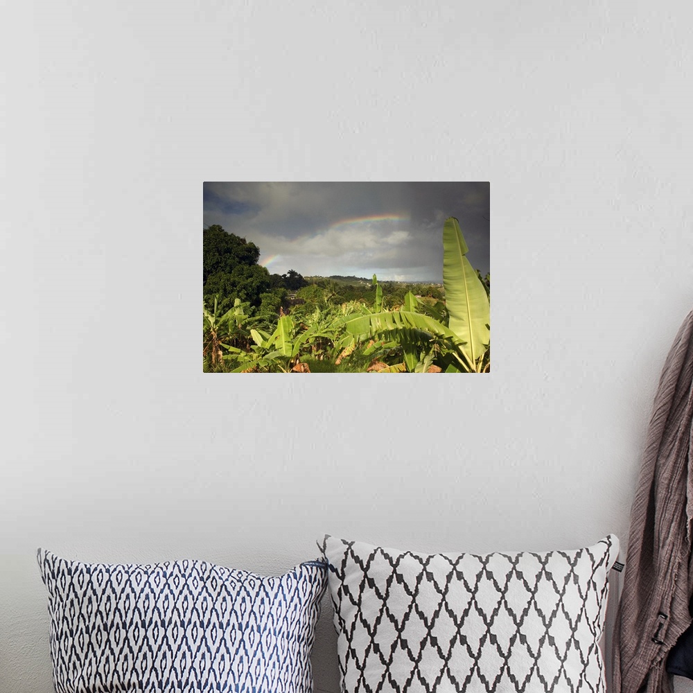 A bohemian room featuring BARBADOS, St. Joseph Parish, Grey Clouds, Rainbow, Tropical Vegetation