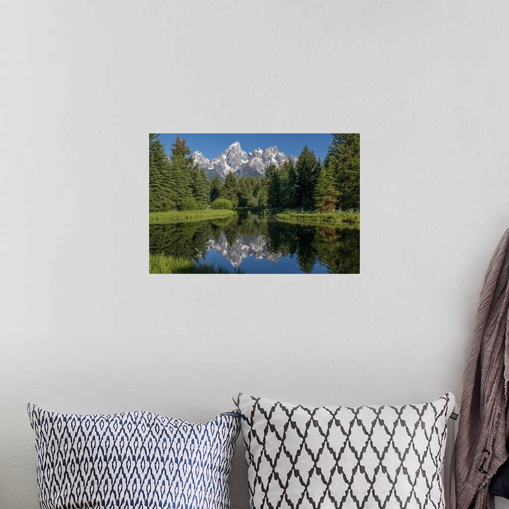 A bohemian room featuring Blue spruce trees and the Grand Tetons, Schwabacher Landing, Grand Teton National Park, Wyoming, ...