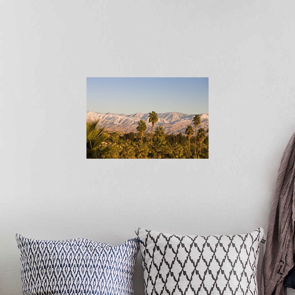 A bohemian room featuring USA, California, Palm Springs. Palms and San Bernardino Mountains, sunrise.
