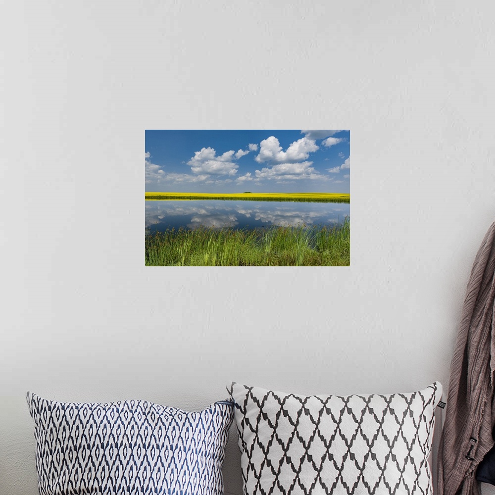 A bohemian room featuring Canada, Saskatchewan, Viscount. Reflection in prairie pond water and canola crop.