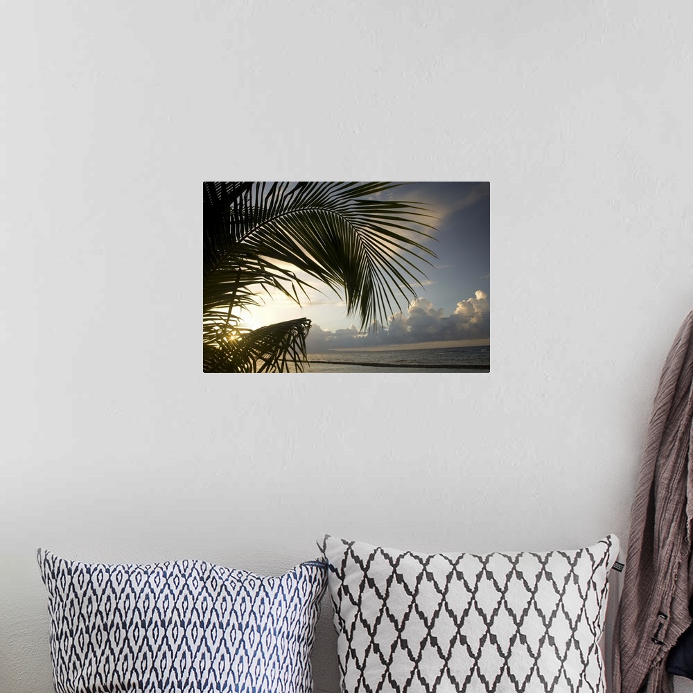 A bohemian room featuring Caribbean, Puerto Rico, Vieques.   Palm frond and beach at sunset.
