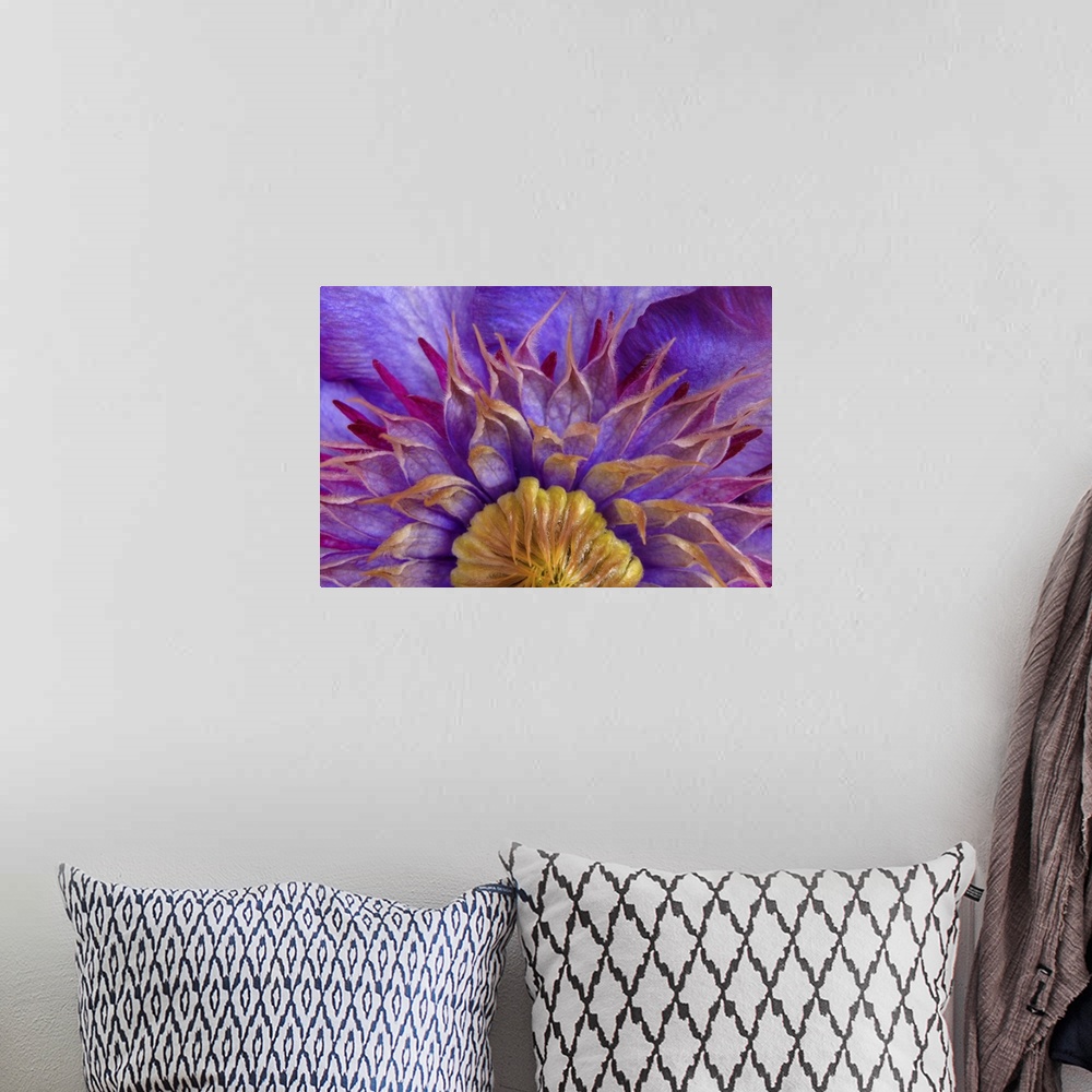 A bohemian room featuring Close-up of part of clematis blossom.
