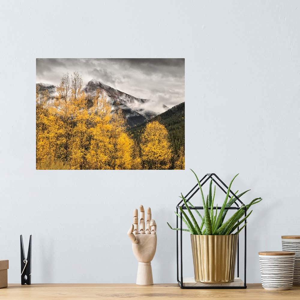 A bohemian room featuring USA, Colorado, Silverton, Clearing storm and fall color on the Alpine Loop