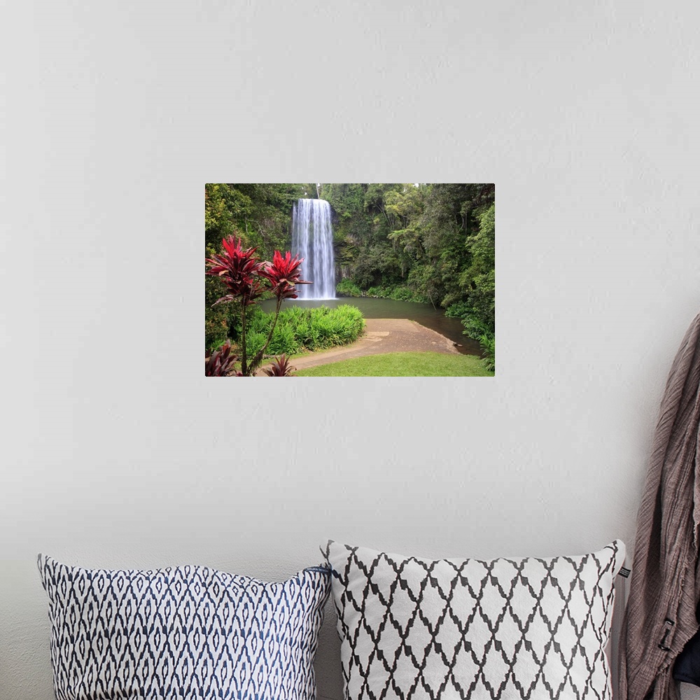 A bohemian room featuring Flowers at Millaa Millaa Falls, Waterfall Circuit, Queensland.