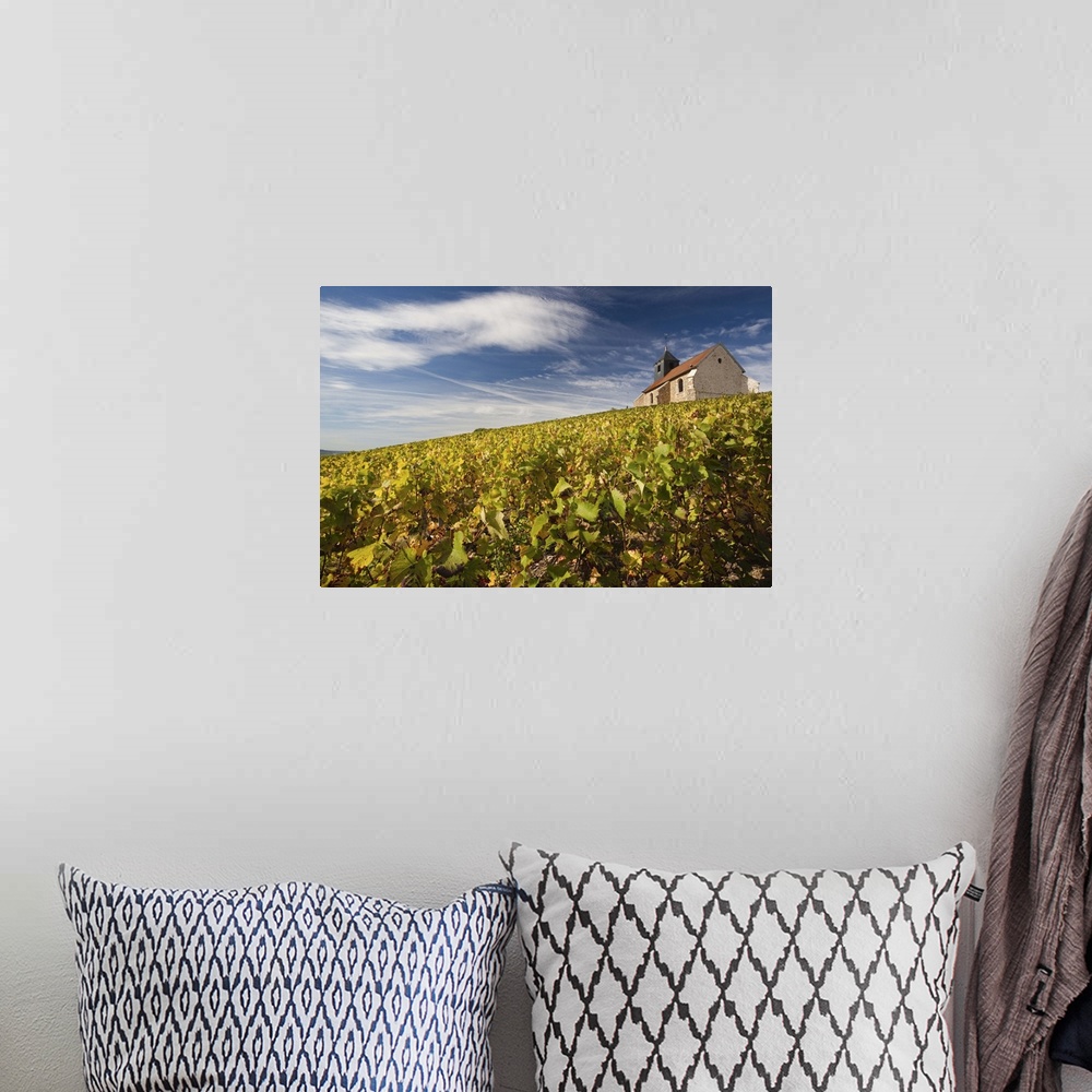A bohemian room featuring France, Marne, Champagne Ardenne, Mutigny, Town Church And Vineyards