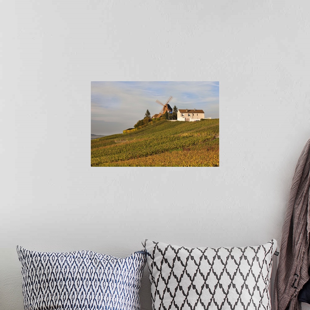 A bohemian room featuring France, Marne, Champagne Ardenne, Verzenay, Windmill And Vineyards