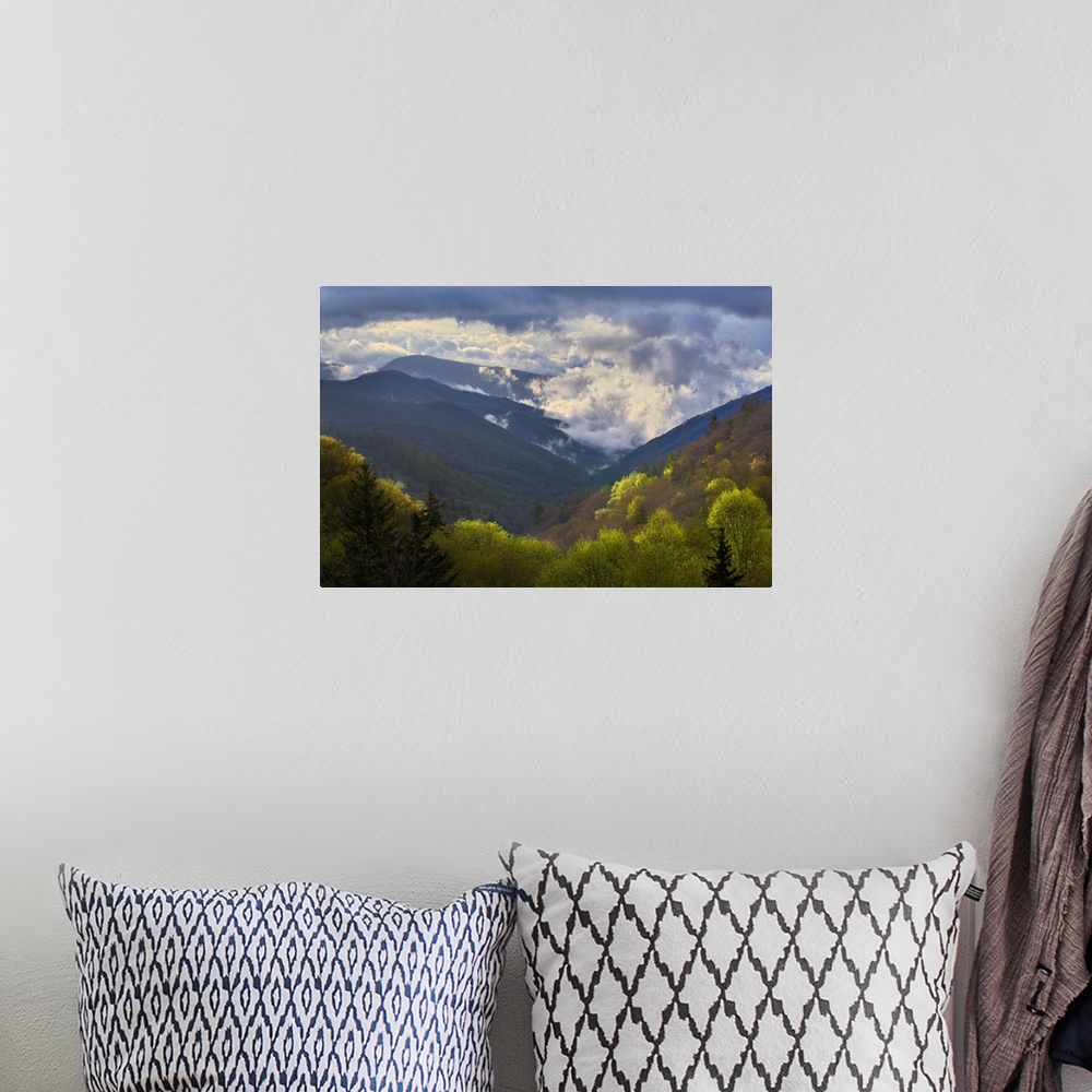 A bohemian room featuring Clouds in Oconaluftee Valley at sunrise, Great Smoky Mountains National Park, North Carolina