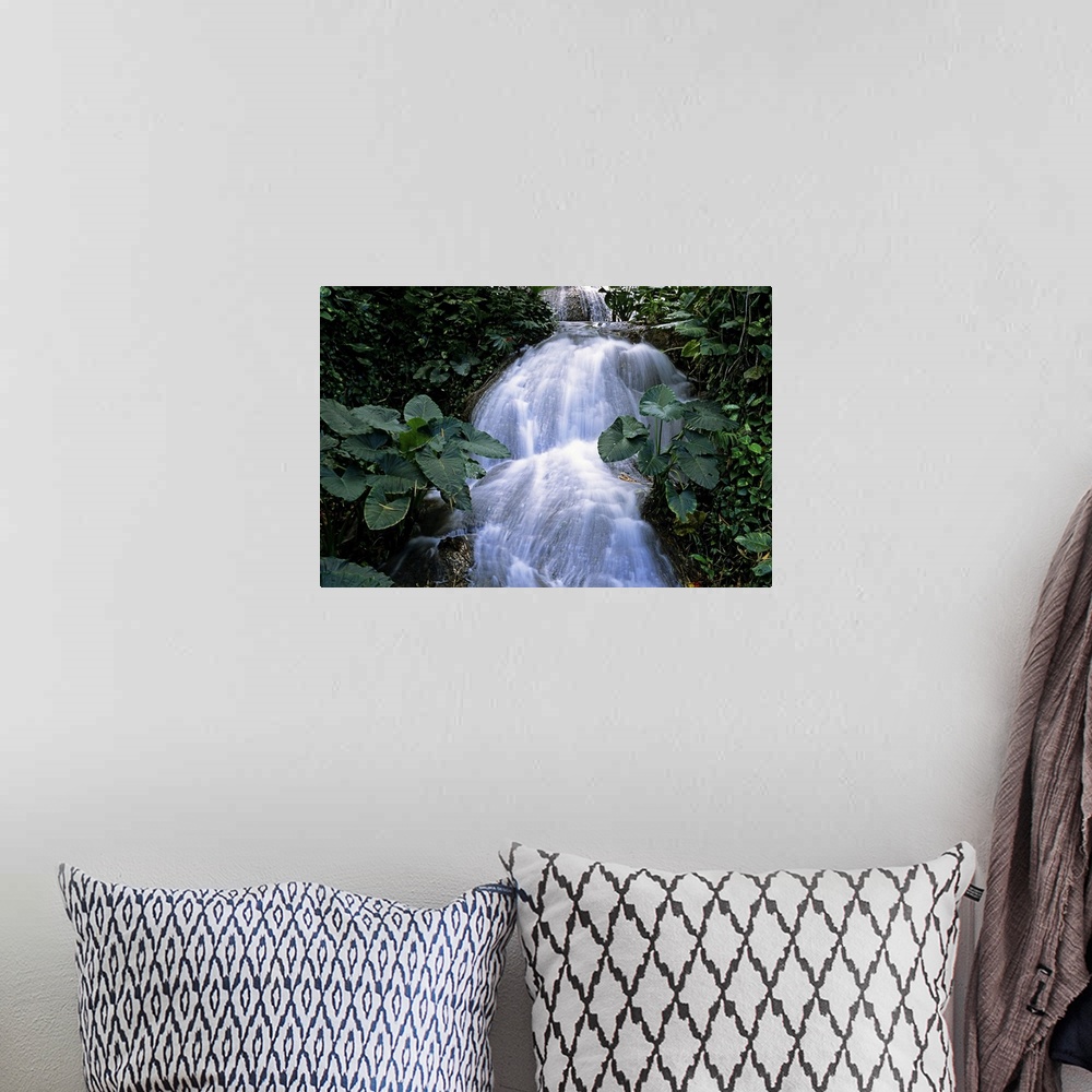 A bohemian room featuring Jamaica. Ocho Rios. Shaw waterfalls.