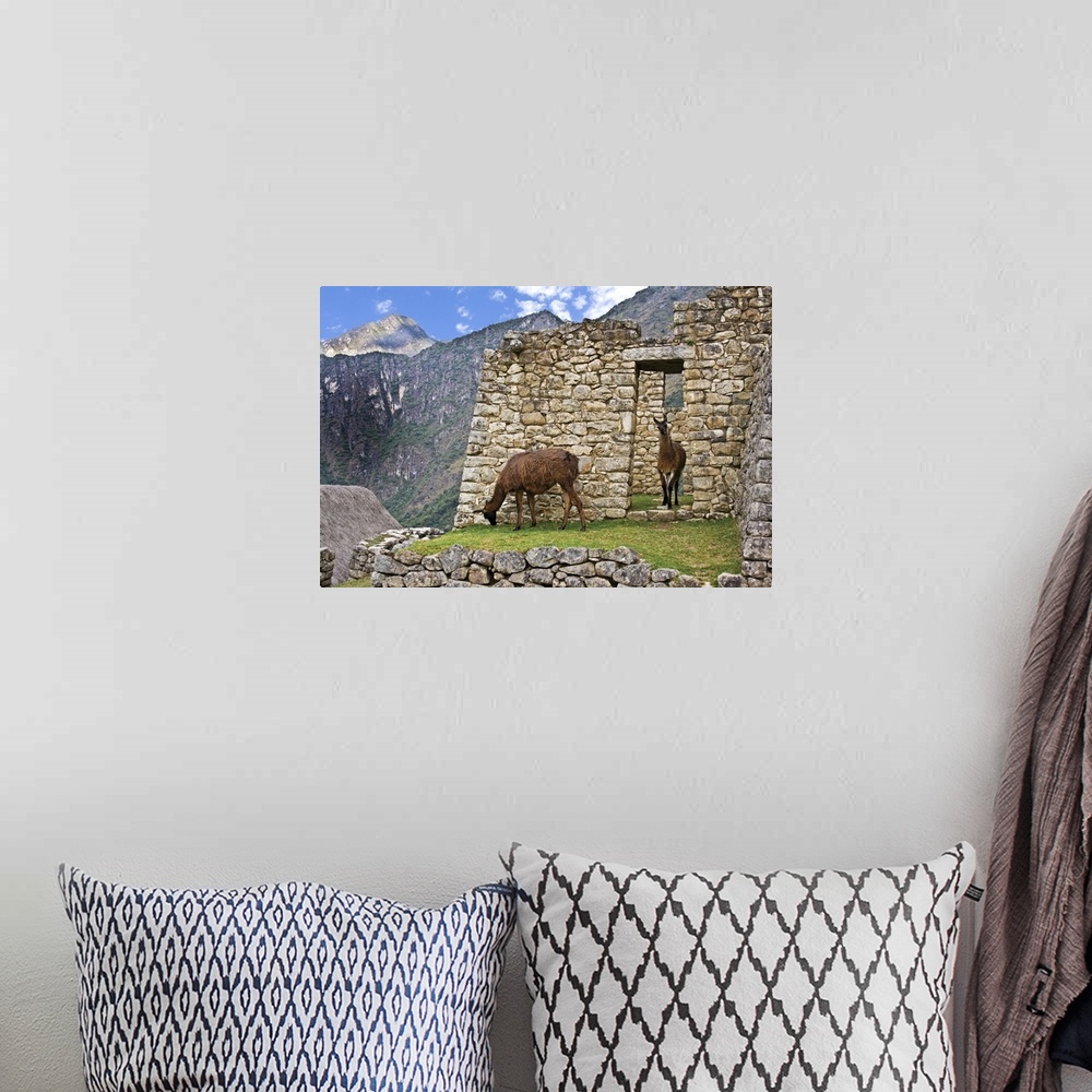 A bohemian room featuring Machu Picchu, Peru, Llamas graze in the ruins of the ancient Lost City of the Inca.