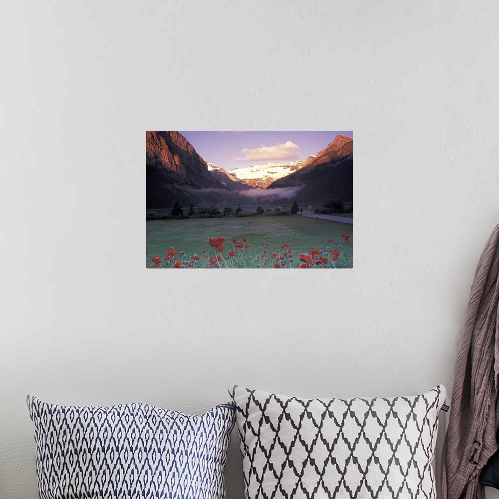 A bohemian room featuring North America, Canada, Alberta, Banff NP, Lake Louise morning and poppies